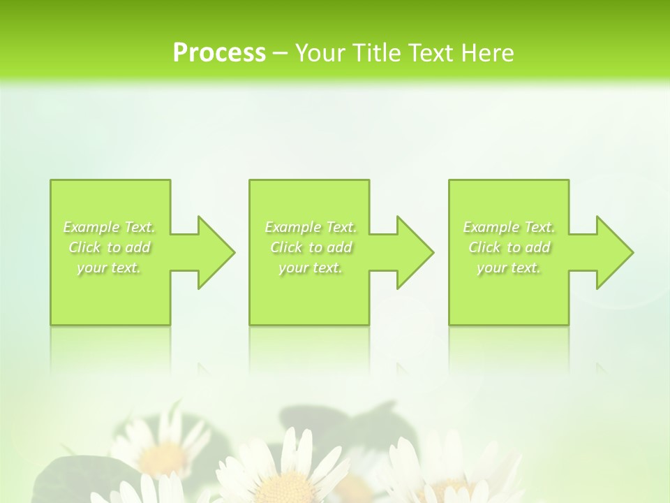 Fresh Daisy Growth PowerPoint Template