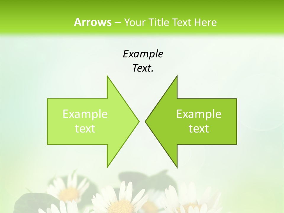 Fresh Daisy Growth PowerPoint Template