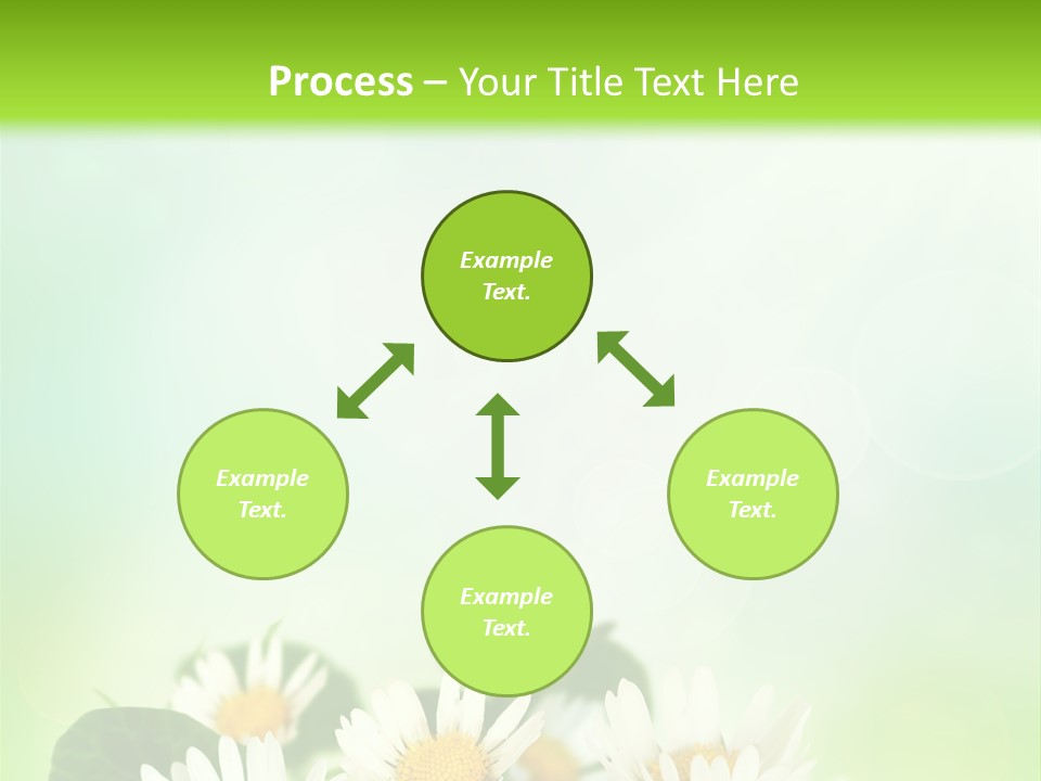 Fresh Daisy Growth PowerPoint Template