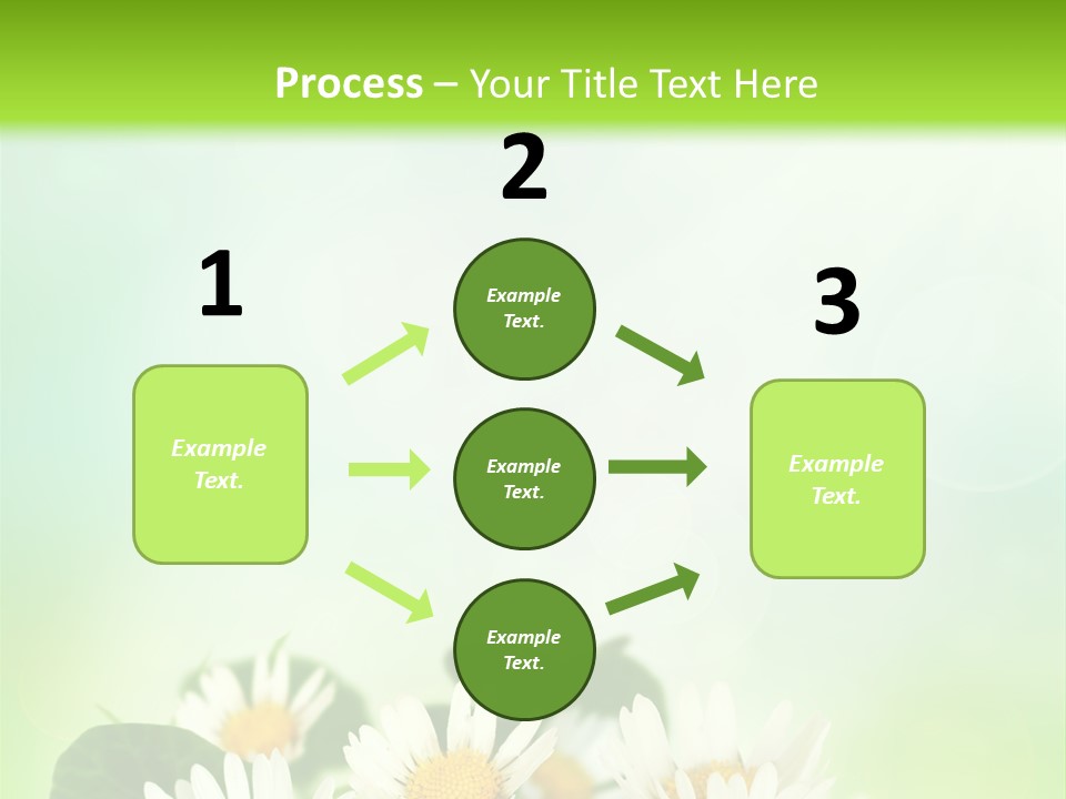 Fresh Daisy Growth PowerPoint Template