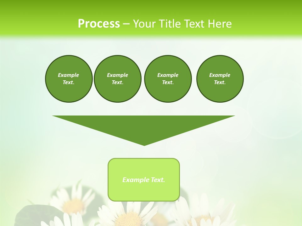 Fresh Daisy Growth PowerPoint Template