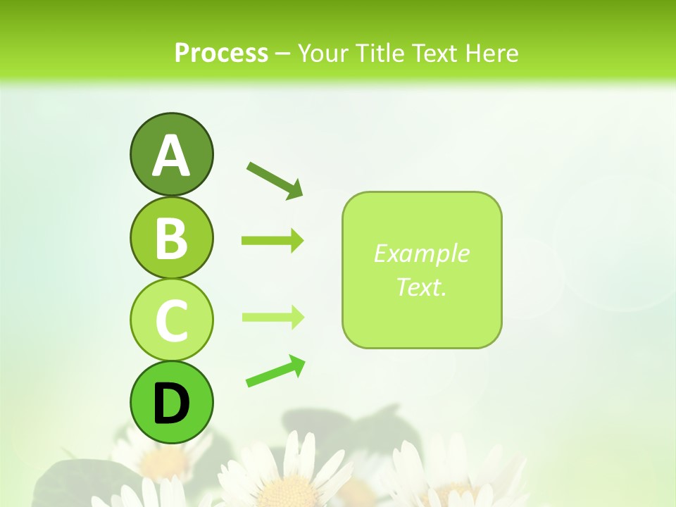 Fresh Daisy Growth PowerPoint Template