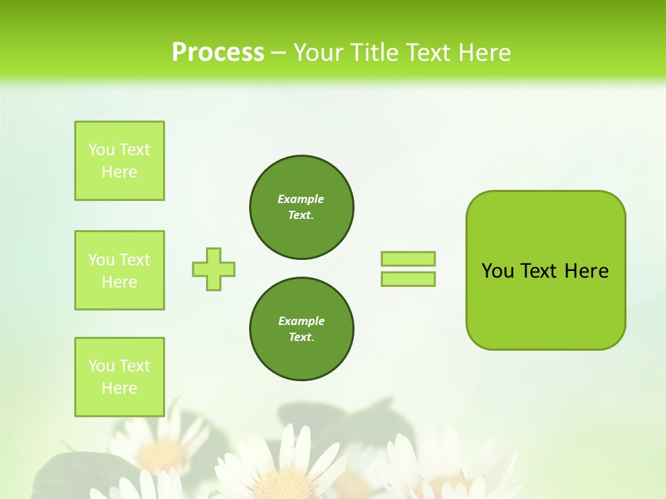 Fresh Daisy Growth PowerPoint Template