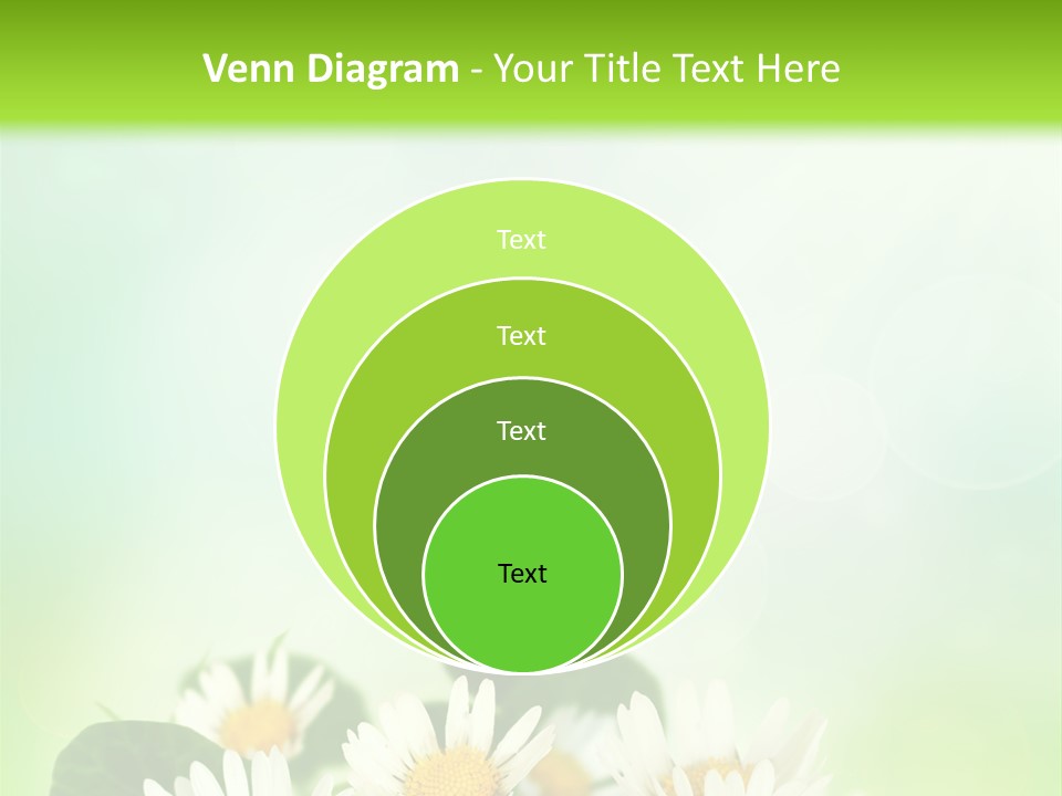Fresh Daisy Growth PowerPoint Template