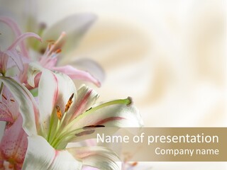 Petal Beautiful Plant PowerPoint Template