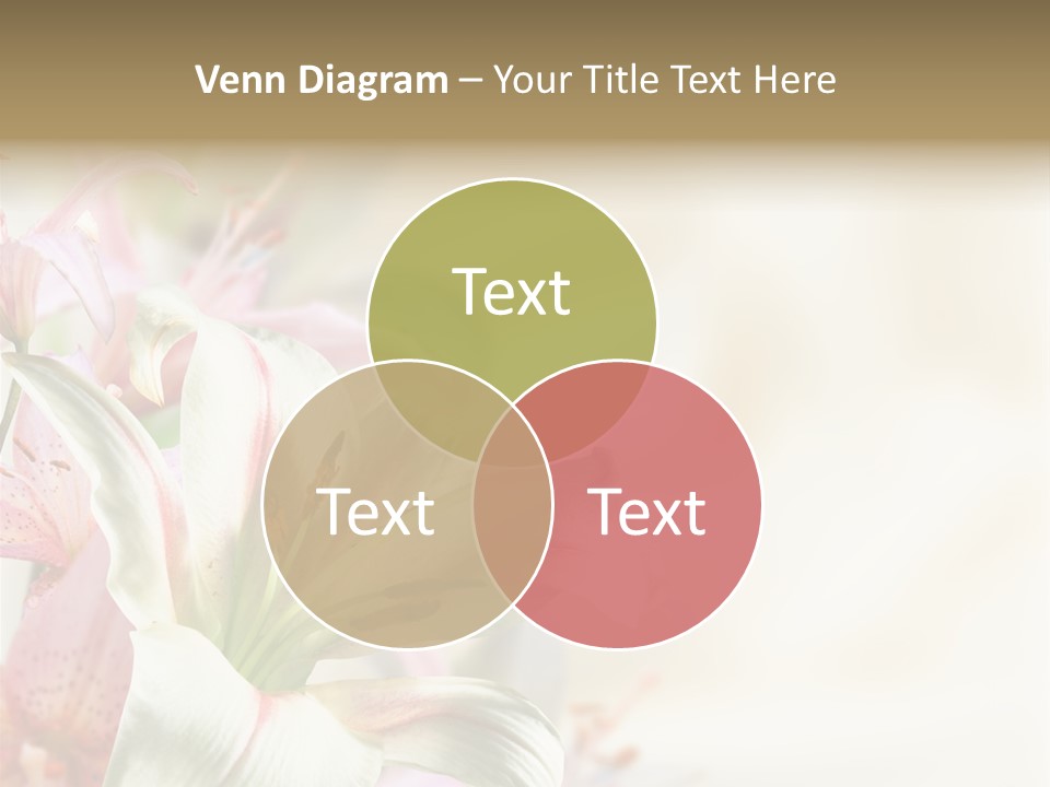 Petal Beautiful Plant PowerPoint Template