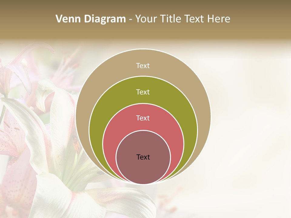 Petal Beautiful Plant PowerPoint Template