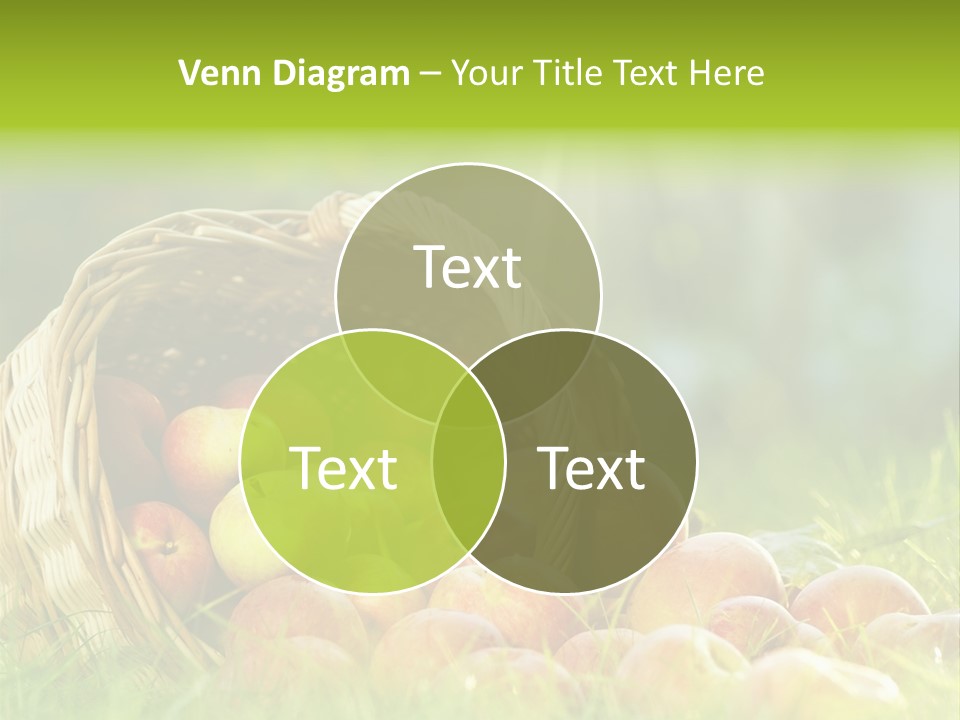 Wall Luxurious Comfortable PowerPoint Template