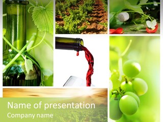 Wine Collage Motion PowerPoint Template