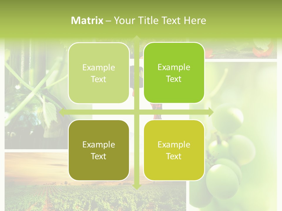 Wine Collage Motion PowerPoint Template