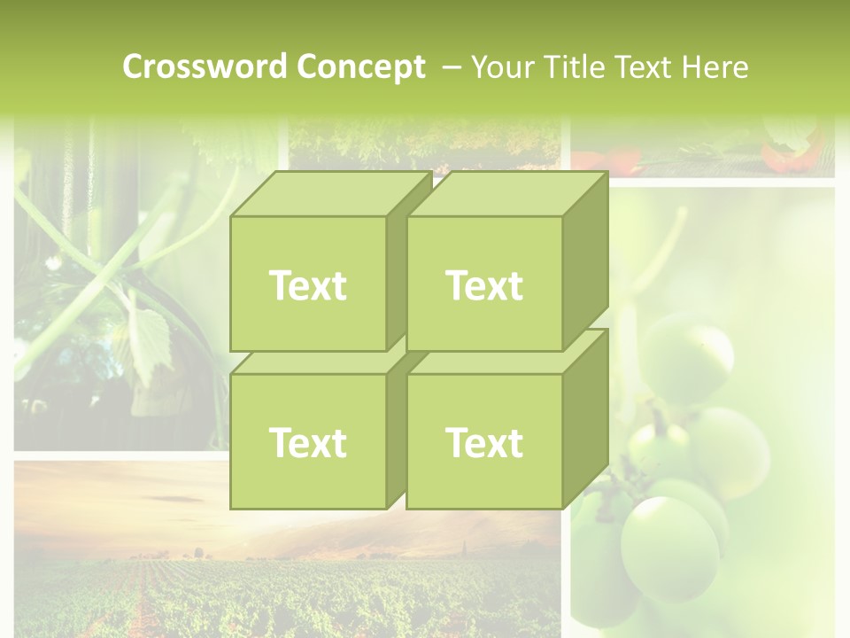 Wine Collage Motion PowerPoint Template