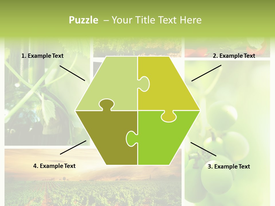 Wine Collage Motion PowerPoint Template