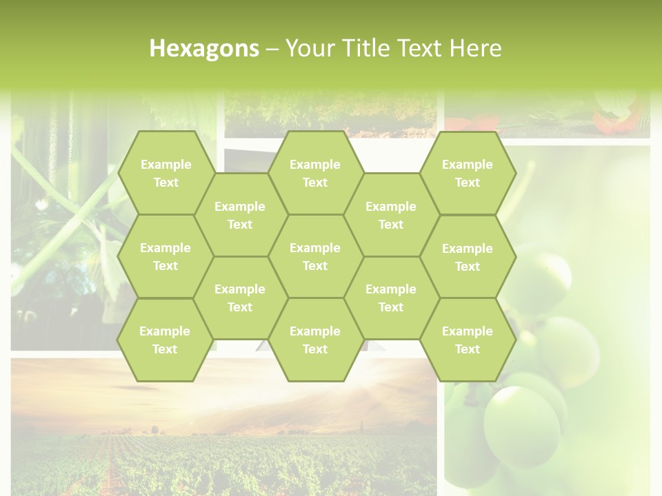 Wine Collage Motion PowerPoint Template