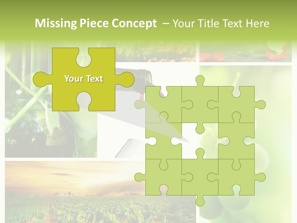 Wine Collage Motion PowerPoint Template