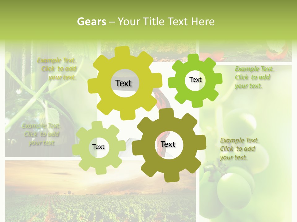 Wine Collage Motion PowerPoint Template