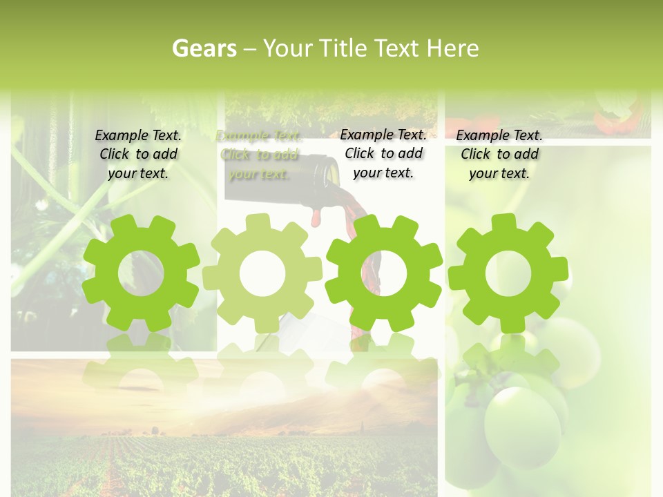 Wine Collage Motion PowerPoint Template