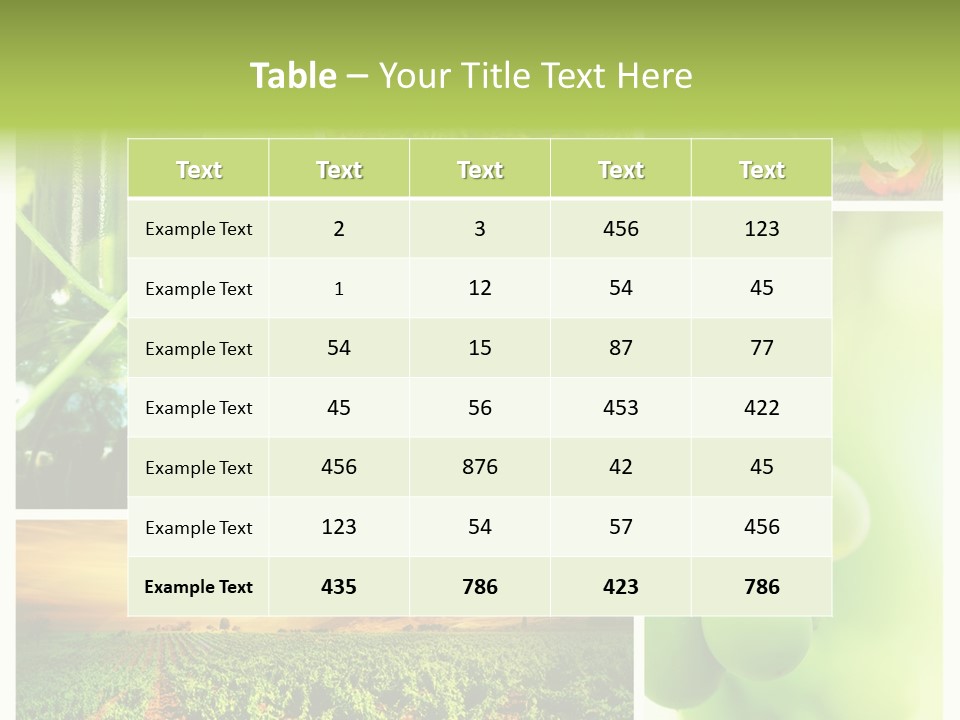 Wine Collage Motion PowerPoint Template