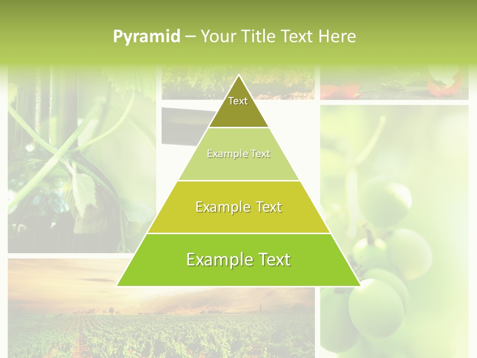 Wine Collage Motion PowerPoint Template