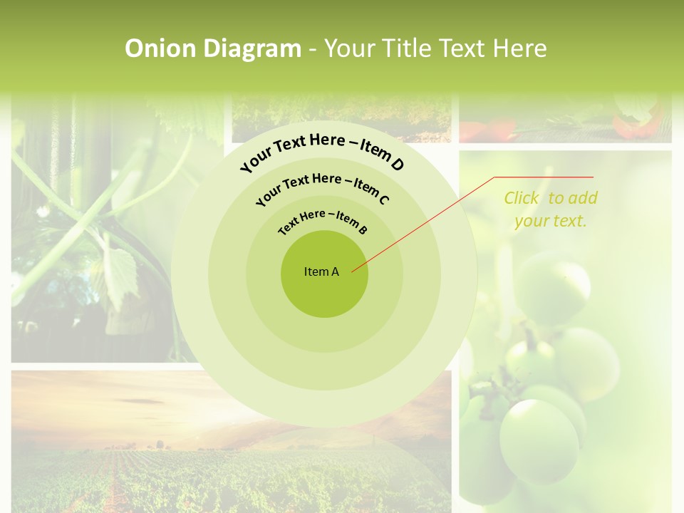 Wine Collage Motion PowerPoint Template