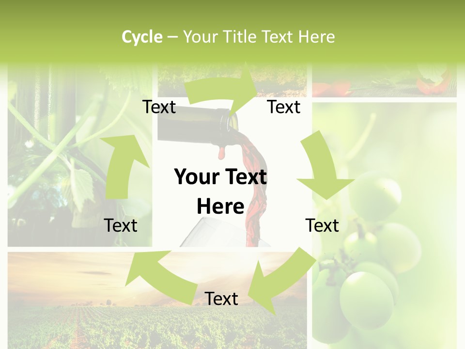 Wine Collage Motion PowerPoint Template