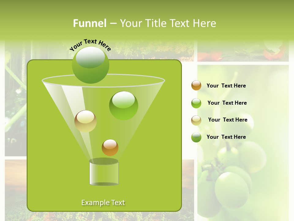 Wine Collage Motion PowerPoint Template