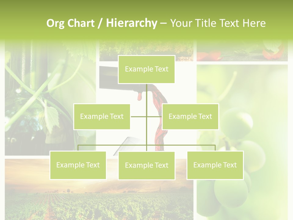 Wine Collage Motion PowerPoint Template