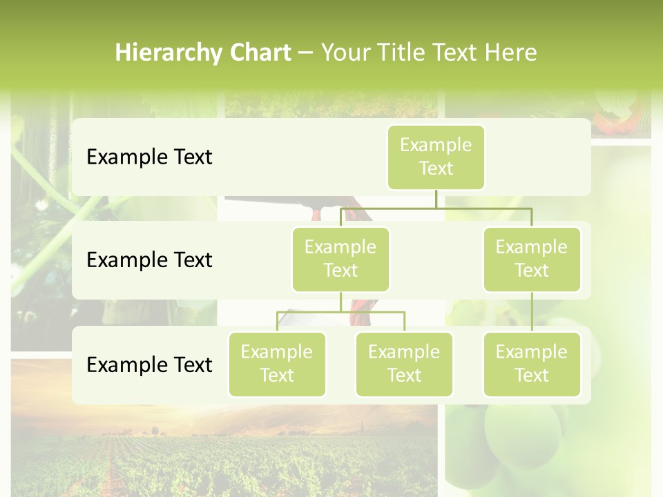 Wine Collage Motion PowerPoint Template