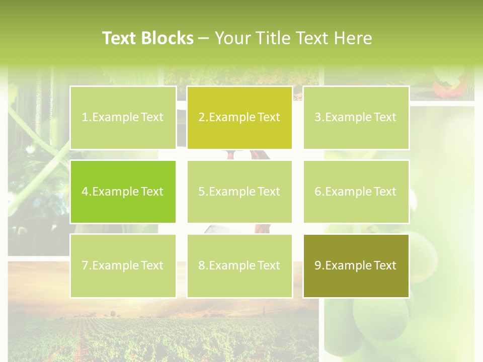 Wine Collage Motion PowerPoint Template