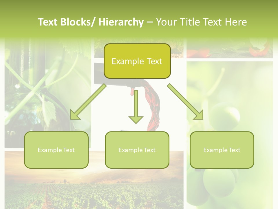 Wine Collage Motion PowerPoint Template