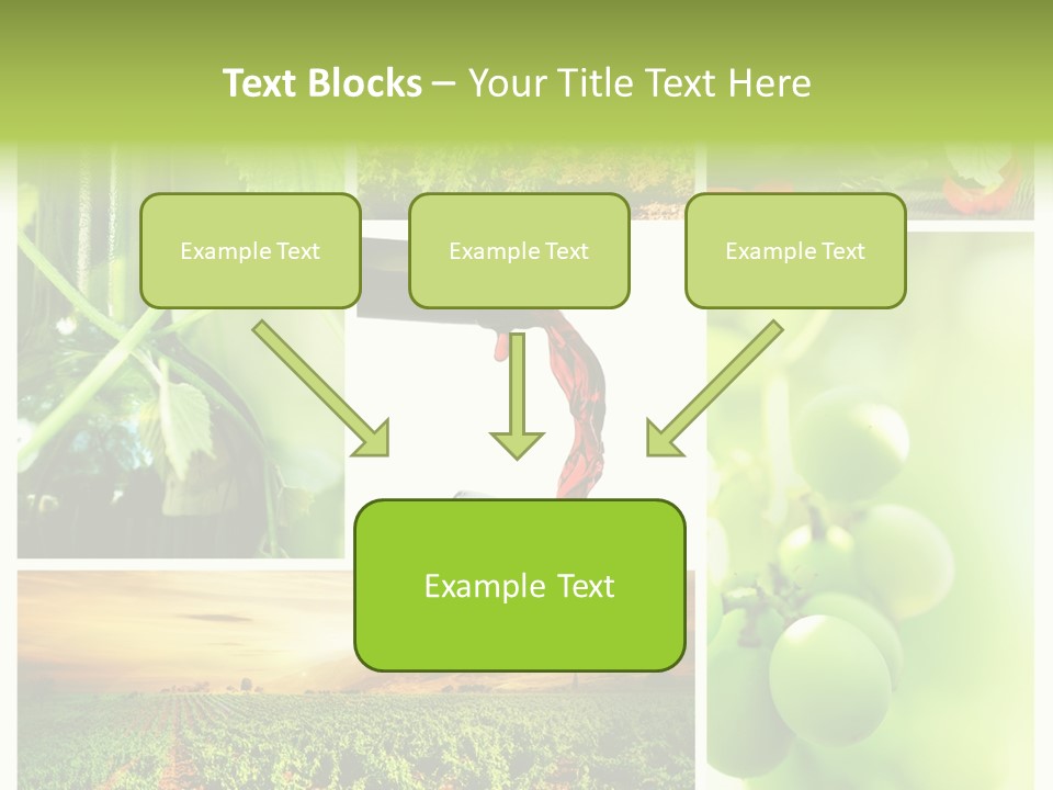 Wine Collage Motion PowerPoint Template