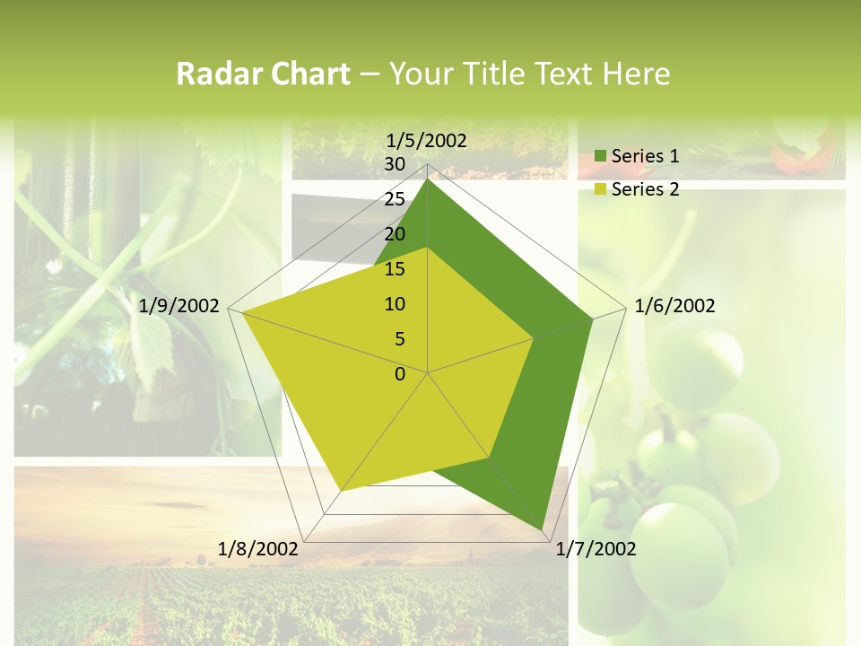 Wine Collage Motion PowerPoint Template