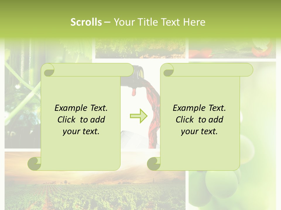 Wine Collage Motion PowerPoint Template