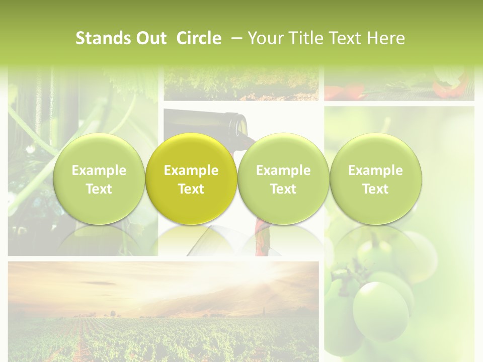 Wine Collage Motion PowerPoint Template