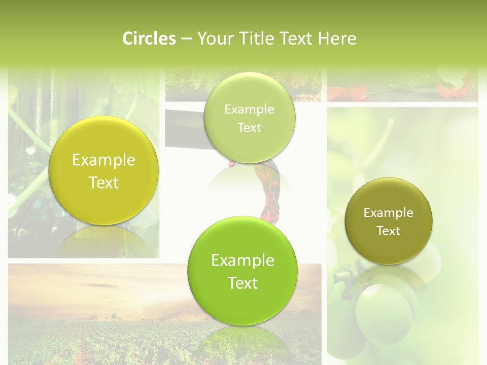 Wine Collage Motion PowerPoint Template