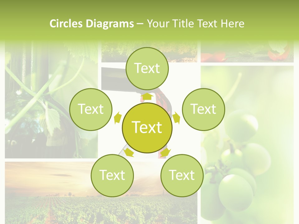 Wine Collage Motion PowerPoint Template