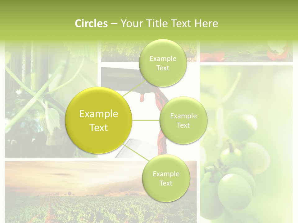 Wine Collage Motion PowerPoint Template