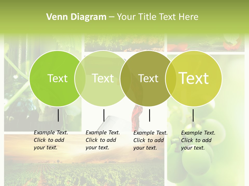 Wine Collage Motion PowerPoint Template