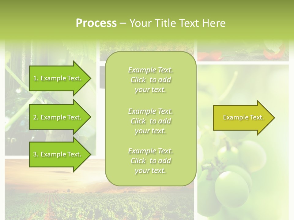 Wine Collage Motion PowerPoint Template