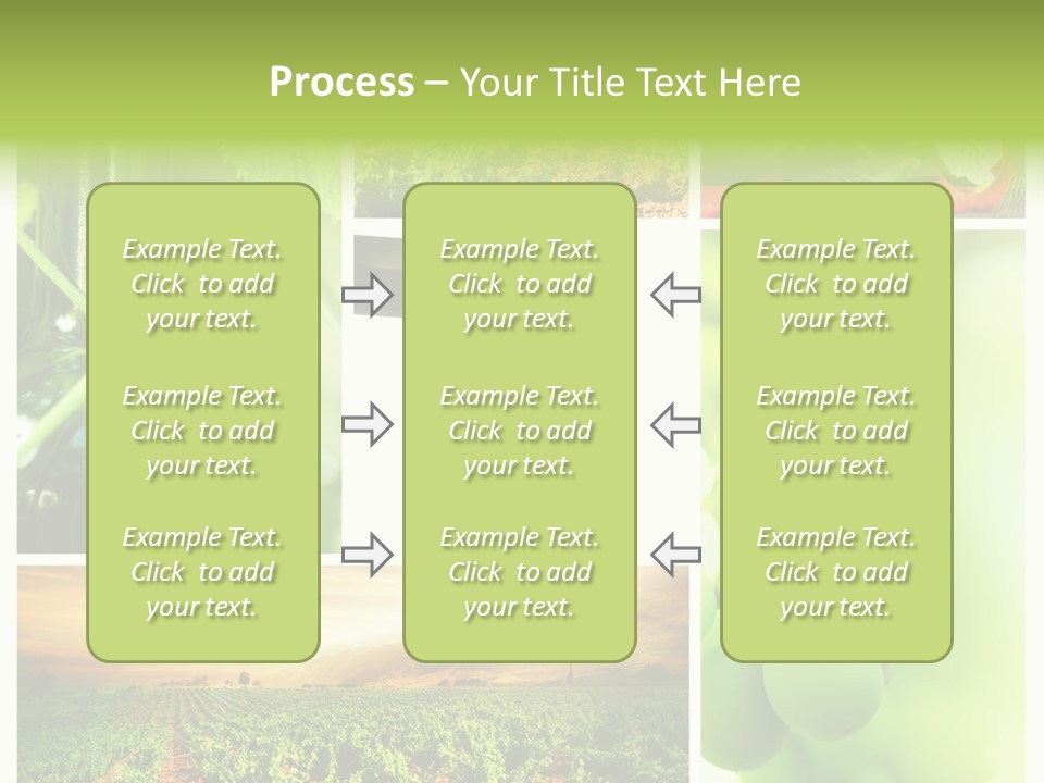 Wine Collage Motion PowerPoint Template