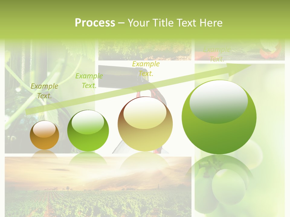 Wine Collage Motion PowerPoint Template