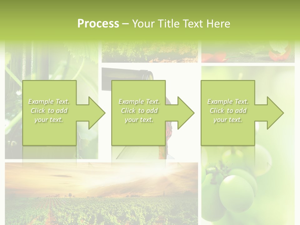 Wine Collage Motion PowerPoint Template