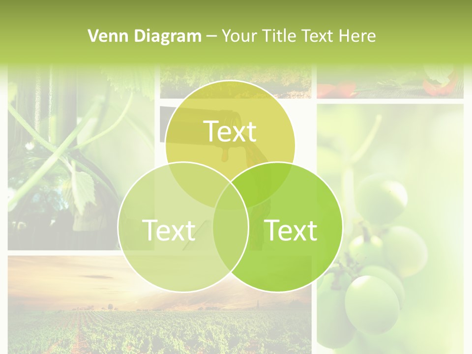 Wine Collage Motion PowerPoint Template