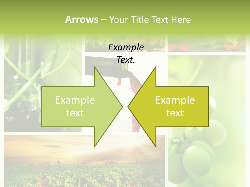 Wine Collage Motion PowerPoint Template