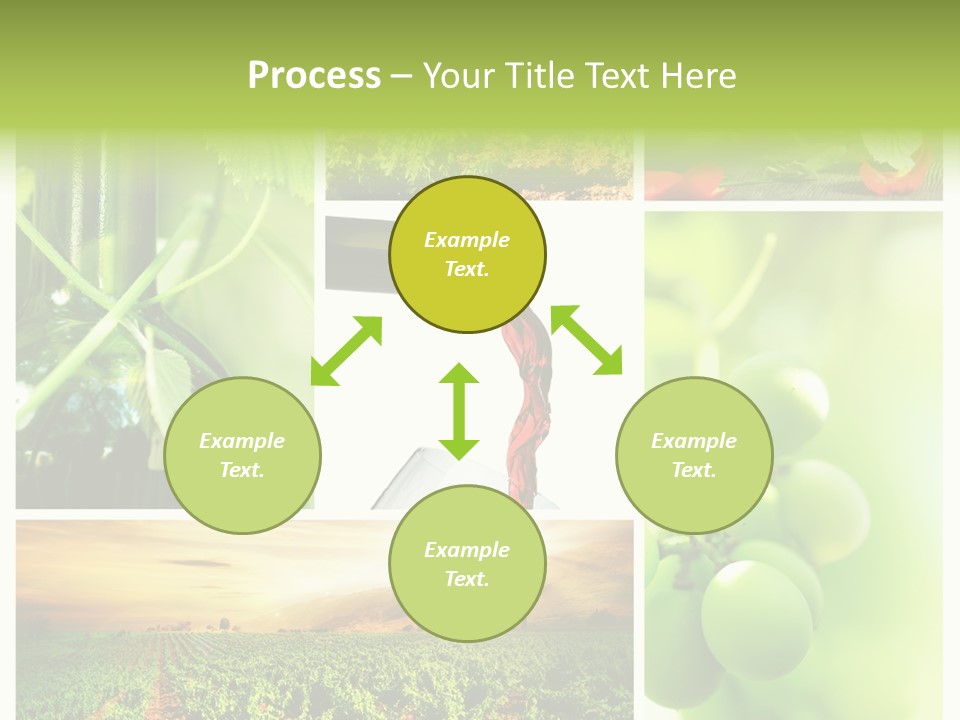 Wine Collage Motion PowerPoint Template