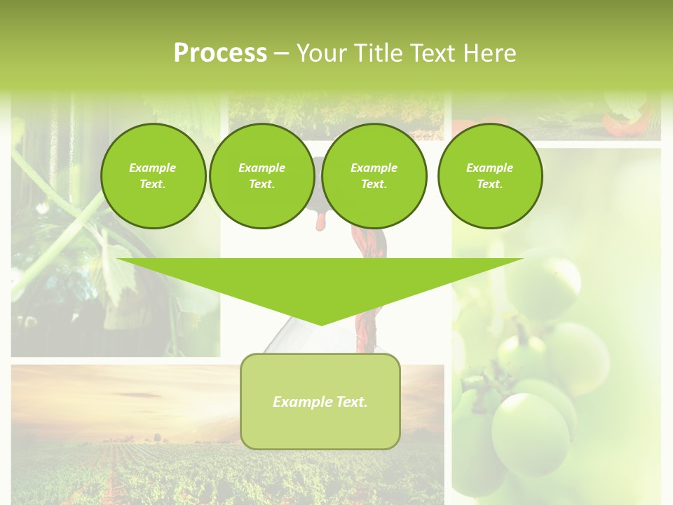 Wine Collage Motion PowerPoint Template