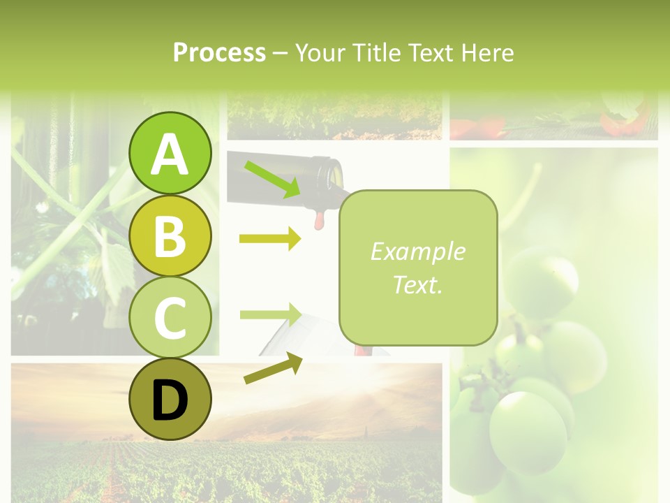 Wine Collage Motion PowerPoint Template