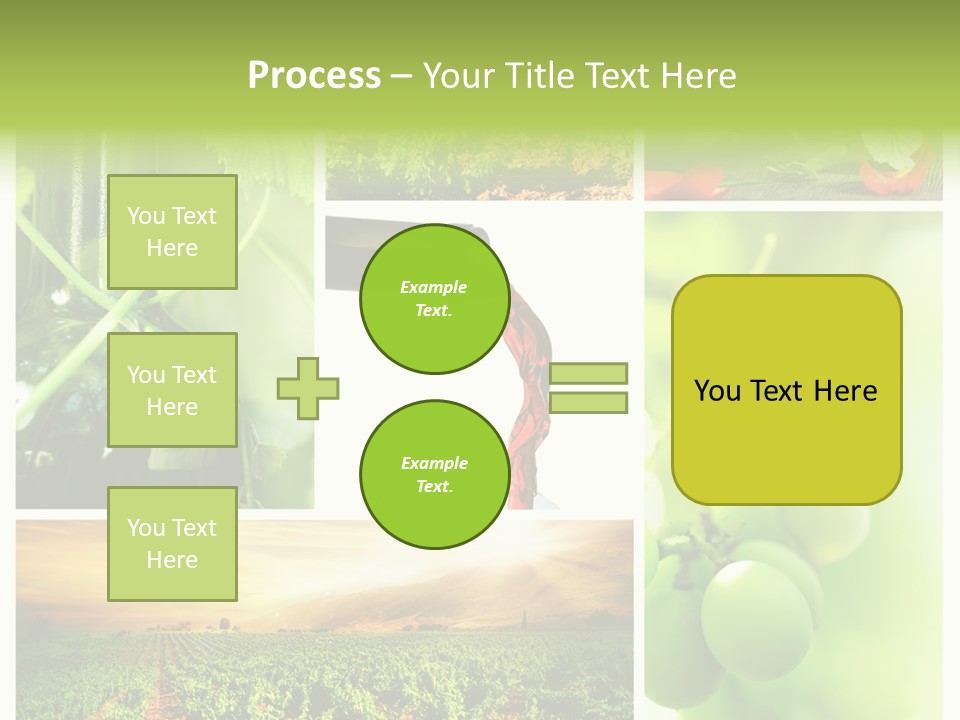 Wine Collage Motion PowerPoint Template