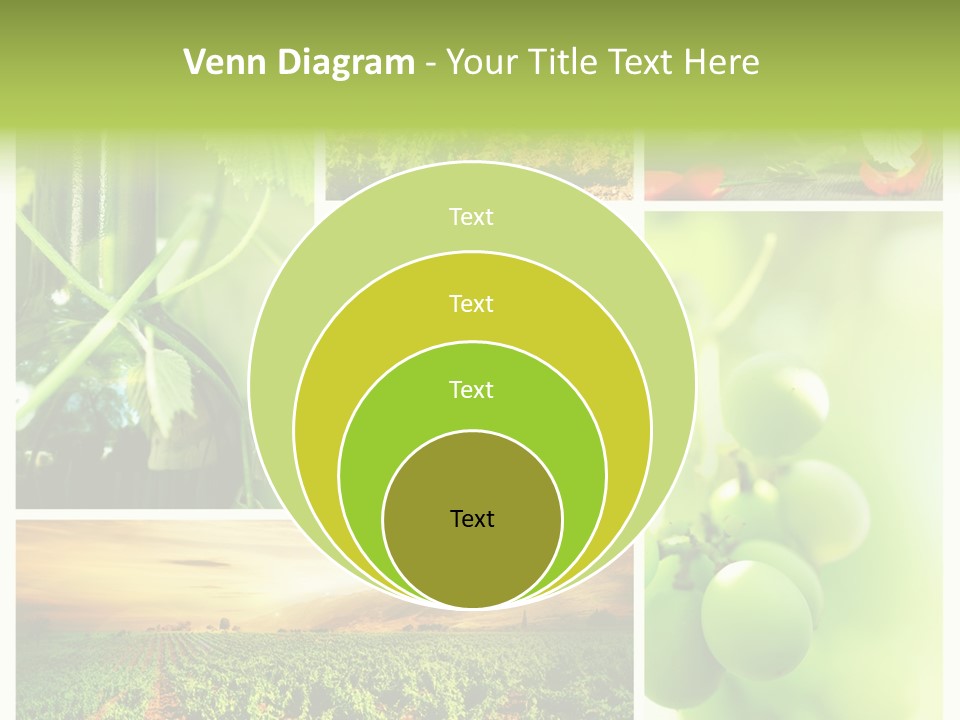 Wine Collage Motion PowerPoint Template