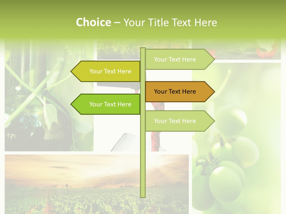 Wine Collage Motion PowerPoint Template