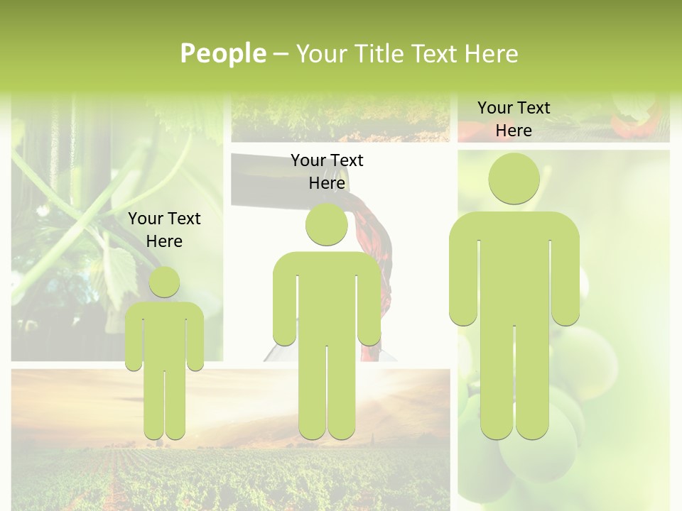 Wine Collage Motion PowerPoint Template